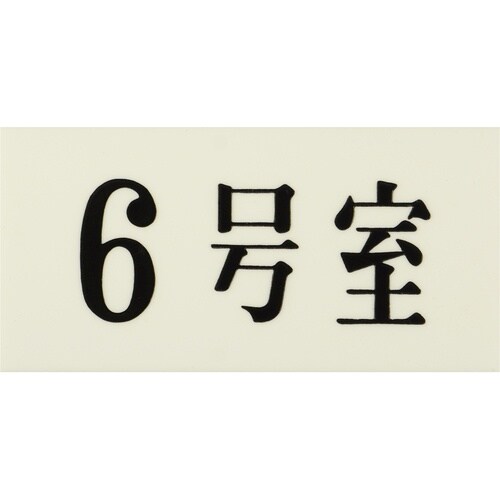 光 プレート 35×70×2 6号室