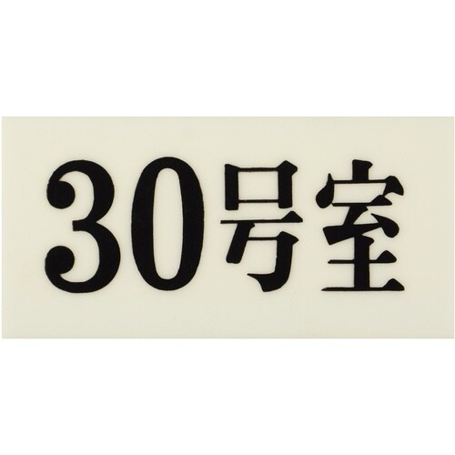 光 プレート 35×70×2 30号室