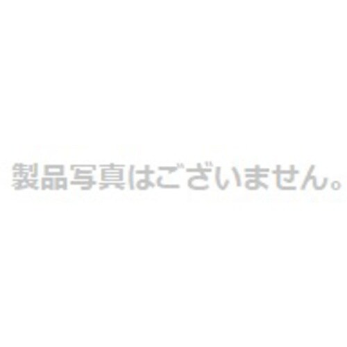 IWATA ヨークインサート R59/BH(100