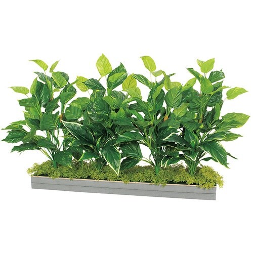 NAIKI ワイドグリーン(H650) MCF型