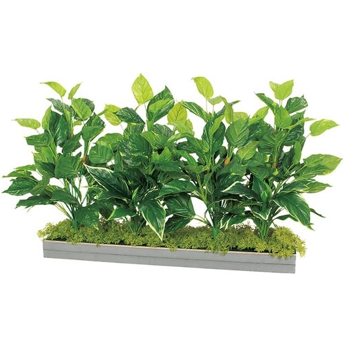 NAIKI ワイドグリーン(H650)