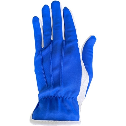 WINCESS ブルー ドライブ・礼装用手袋 (