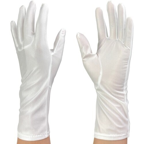 WINCESS 防塵手袋 ロングタイプ SS (