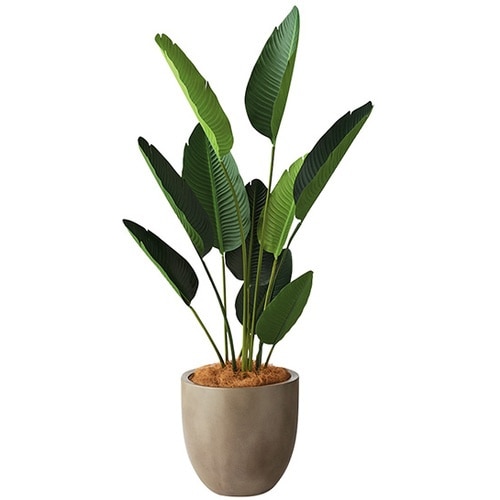 NAIKI 人工樹木(オーガスタ)