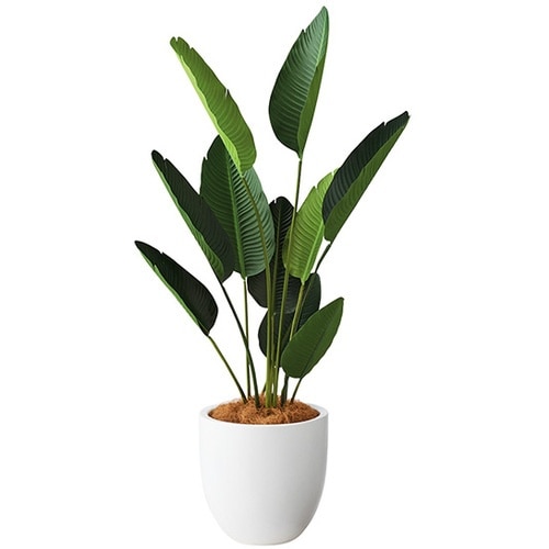 NAIKI 人工樹木(オーガスタ)