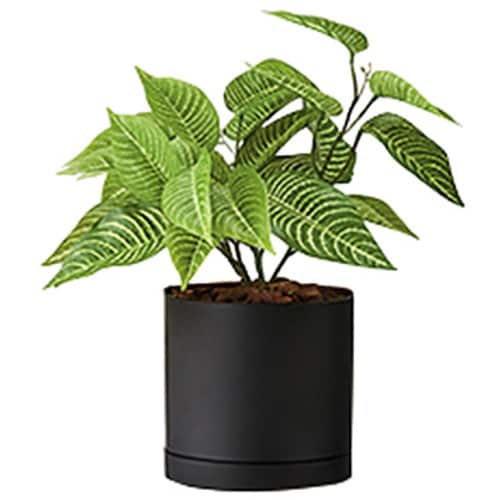 NAIKI 人工樹木(ゼブラブッシュ)