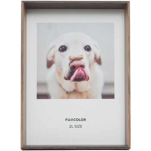 フジカラー ルームフレーム ROOMFREAM48