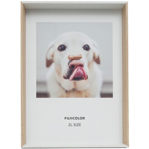 フジカラー ツーカラーフレーム TwoColorF