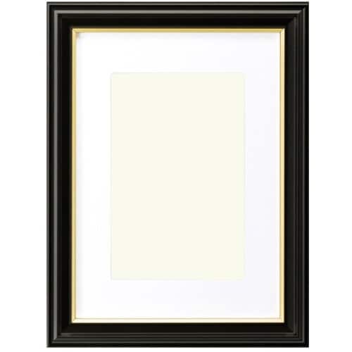 ハクバ 額縁 肖像額縁 入山 カビネ