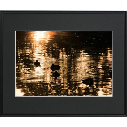 フジカラー ワイドマットフレーム A3300 A3