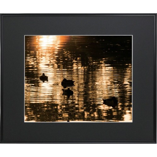 フジカラー ワイドマットフレーム A3300 全紙