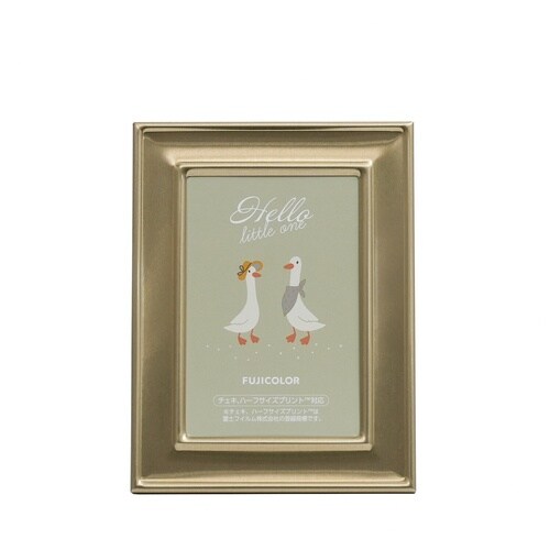 フジカラー メタルカラーフレーム HLサイズ ゴー