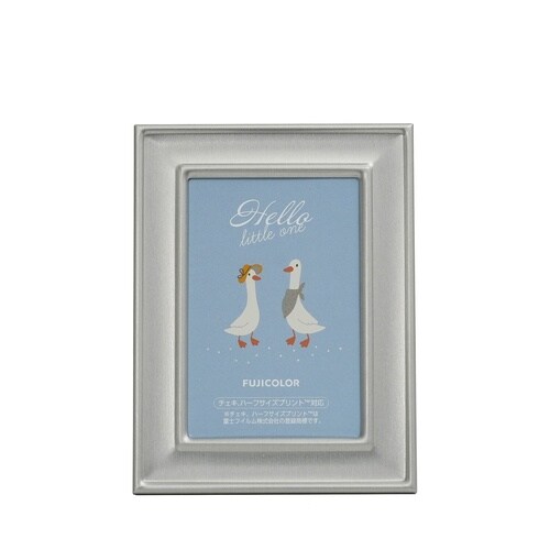 フジカラー メタルカラーフレーム HLサイズ シル