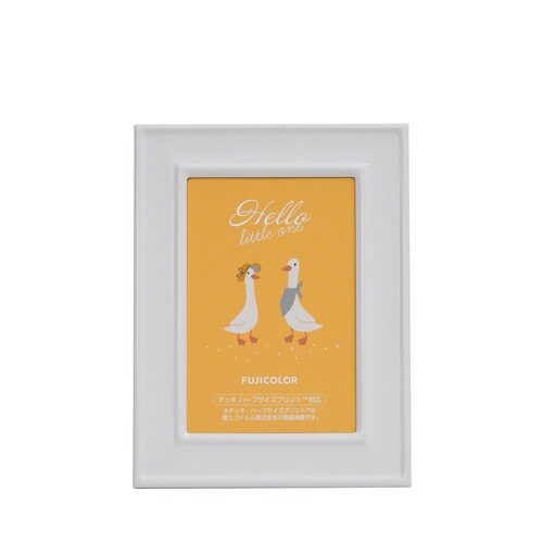 フジカラー メタルカラーフレーム HLサイズ ホワ