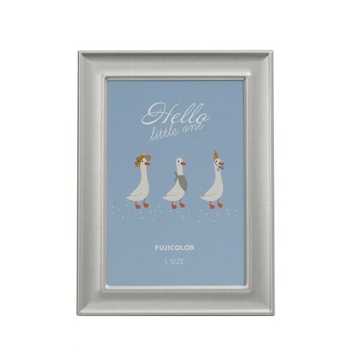 フジカラー メタルカラーフレーム Lサイズ シルバ