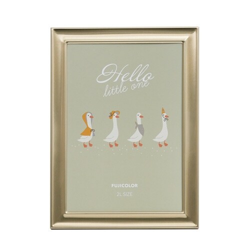 フジカラー メタルカラーフレーム 2Lサイズ ゴー