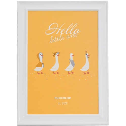 フジカラー メタルカラーフレーム 2Lサイズ ホワ