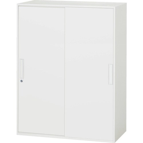 DAISHIN 壁面収納庫 引戸型 上下兼用D40