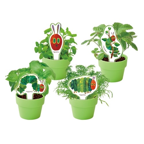 ハラペコアオムシ 育てるカプセル