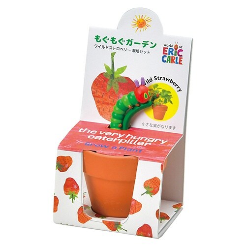 栽培ガーデンセット ストロベリー