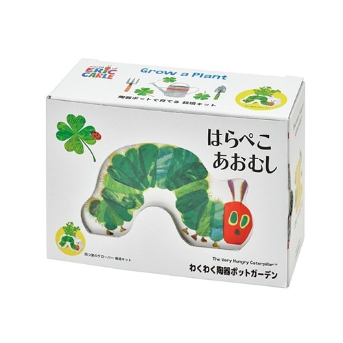 陶器ポットガーデン クローバー