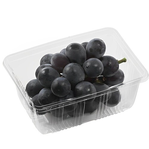 フルーツケース APフルーツ500