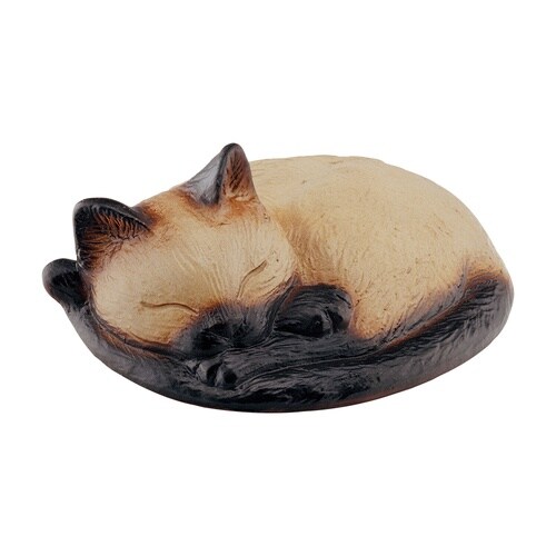 ぬらさにゃいで(モカ)