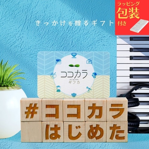 【包装付】カタログギフトコココラギフカ25000P