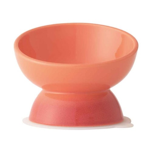 ペット用食器 短頭犬用 陶器 オレンジ