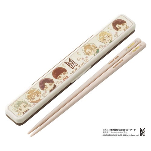 箸箱セット 抗菌 箸 18cm TinyTAN