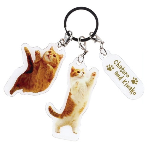 アクリル キーホルダー 3連 茶太郎ときなこ 猫