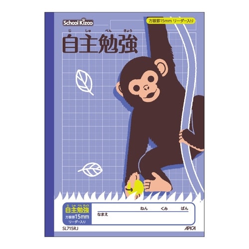 スクールキッズ 自主勉強15mm方眼罫×10