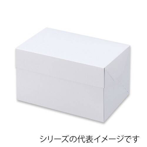 TOBOX WH105 12×18×8