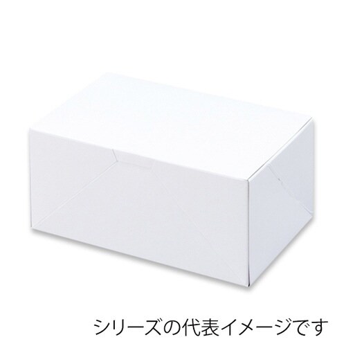 ノエルカートン E×4