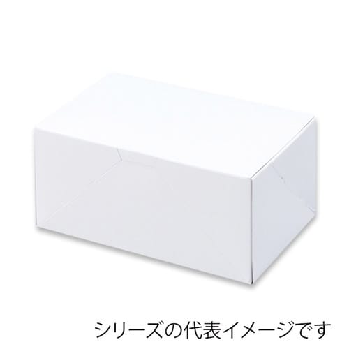 ノエルカートン G×4