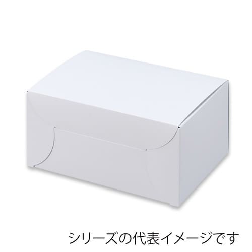 リボンカートン・ホワイト2×5