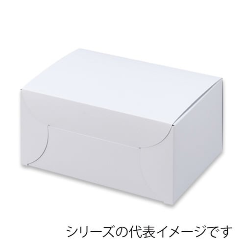 リボンカートン・ホワイト4×4