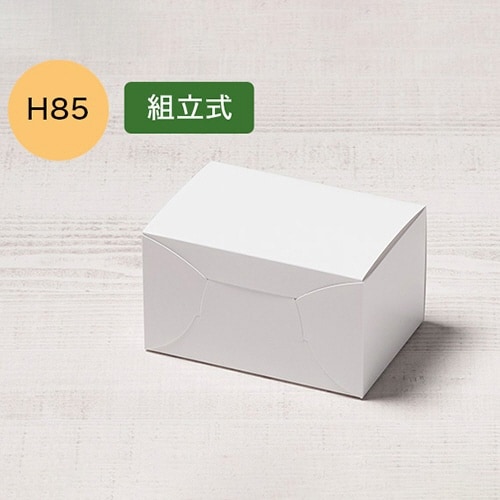 nwカットケーキ1SS H85