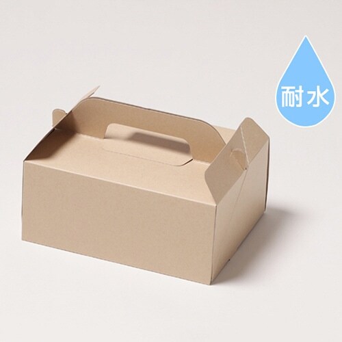 Tカットケーキ C3G M100×2