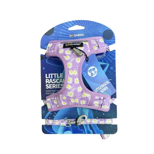 ドッグネス リード&ハーネスセット リト