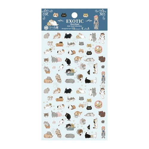 シールExoticShorthair×10