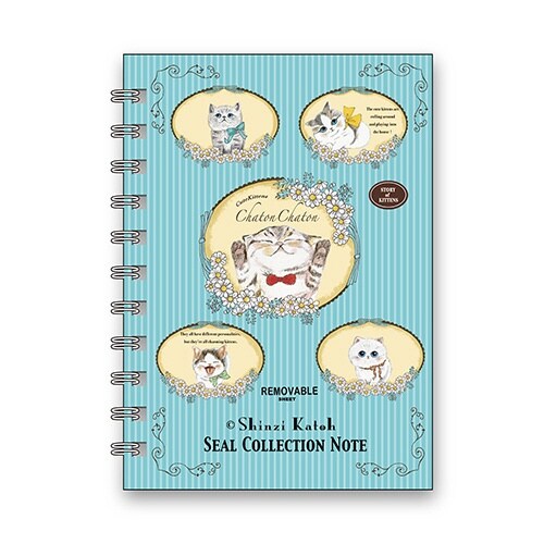 A6 chatonchaton2×5