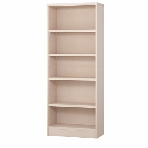 耐荷重タイプ高149.9×幅65×奥25cm LN