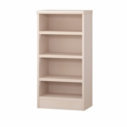 耐荷重タイプ高88.1×幅55×奥31cm LN