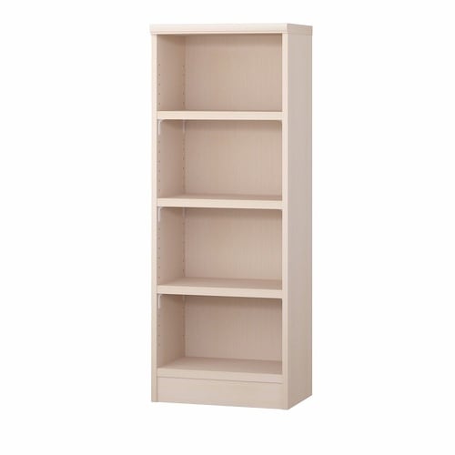 耐荷重タイプ高117×幅55×奥31cm LN