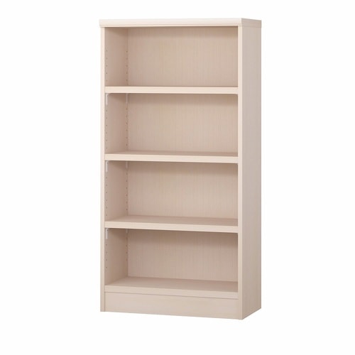 耐荷重タイプ高117×幅65×奥31cm LN