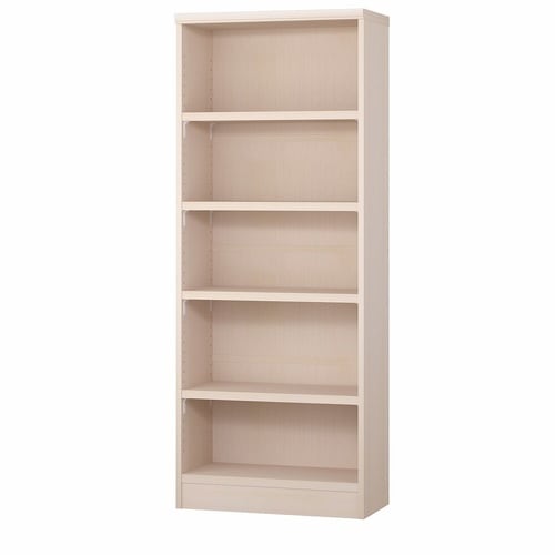 耐荷重タイプ高149.9×幅60×奥31cm LN