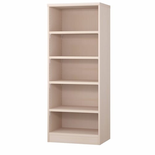 耐荷重タイプ高149.9×幅65×奥46cm LN