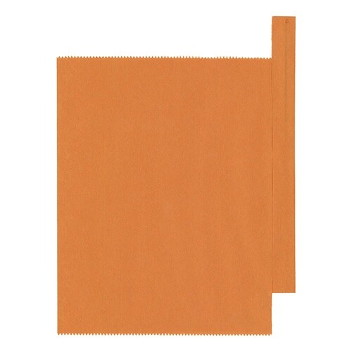 ビワ用果実袋 オレンジ 大 6切止入 556007