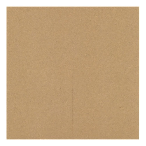 ぶどう用生産資材 クラフト傘 300角 55330